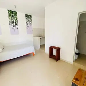 https://cuartos-yax-muul.tulum-hotels.net